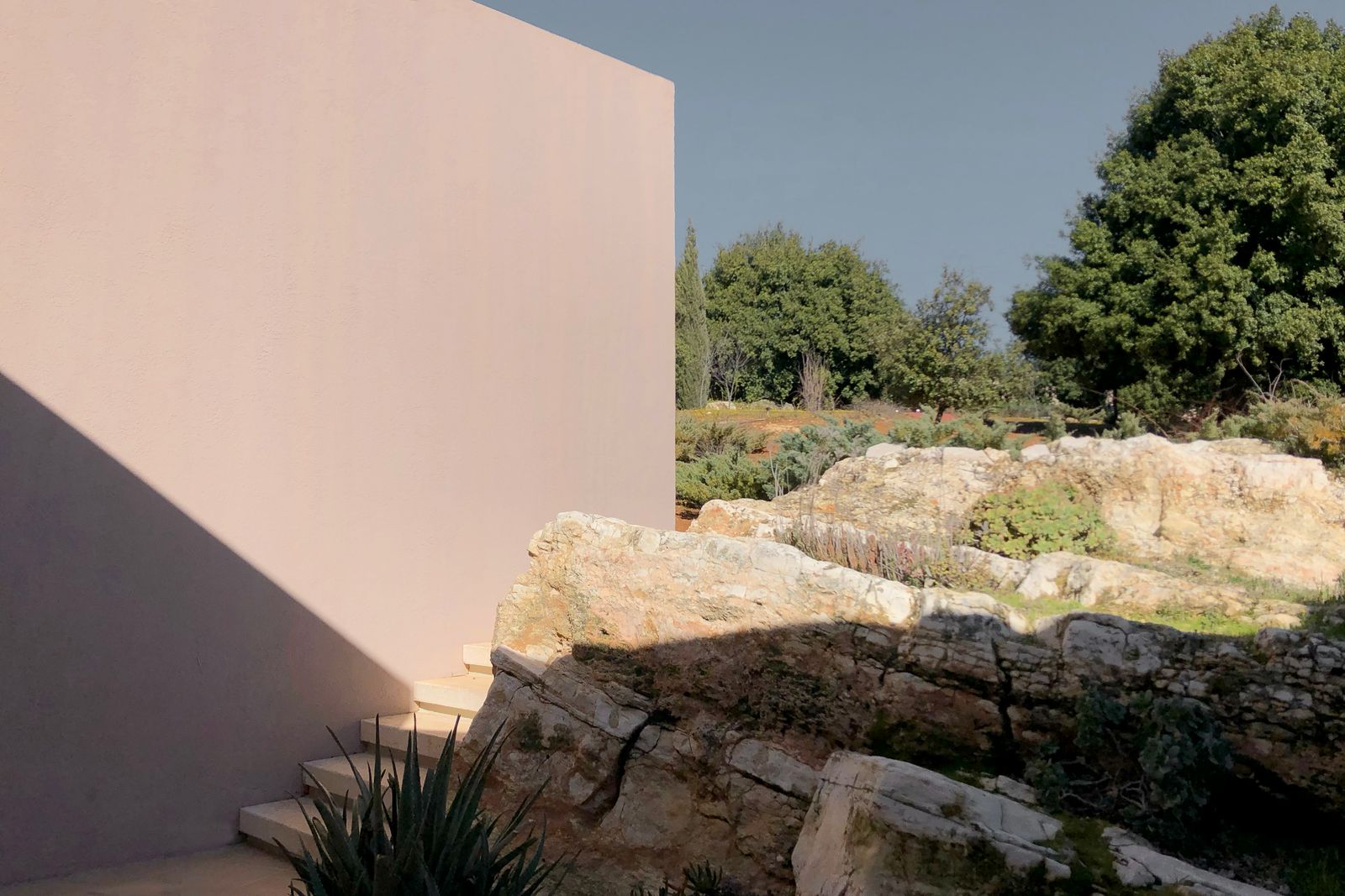 Image may contain Rock Agavaceae Plant Vegetation Potted Plant Architecture Building and Wall