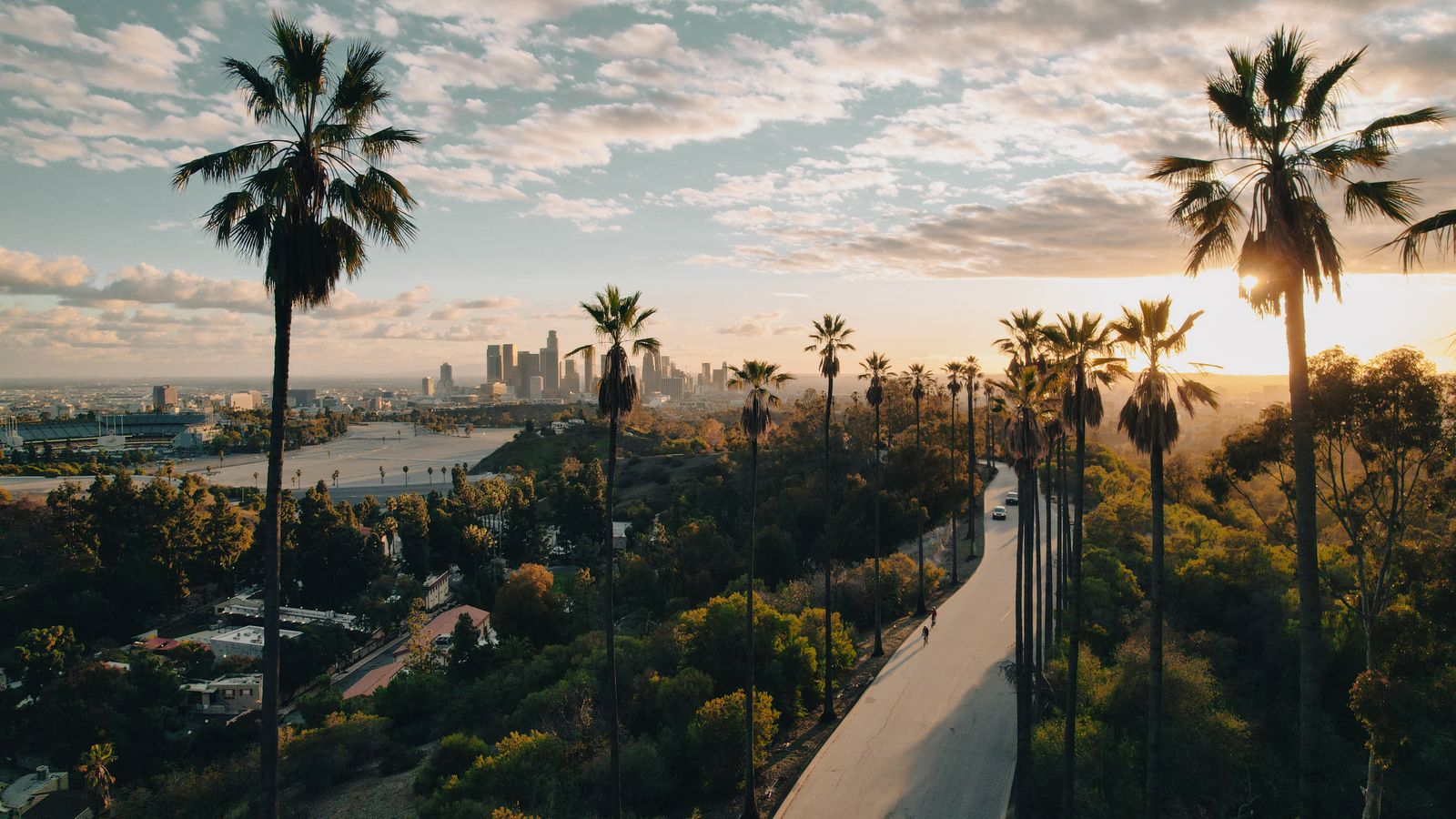 Image may contain Architecture Building Cityscape Urban City Plant Tree Nature Outdoors Sky and Horizon